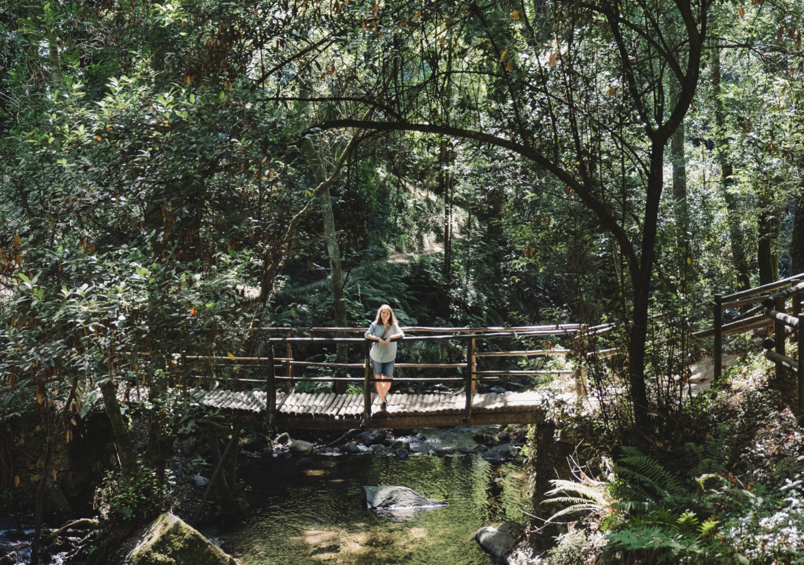 Путешествие по северу Португалии: Часть 1