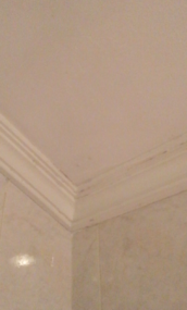 Плесень на потолке